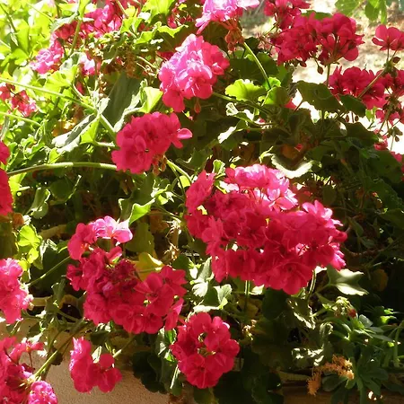 Διαμέρισμα Corry 1