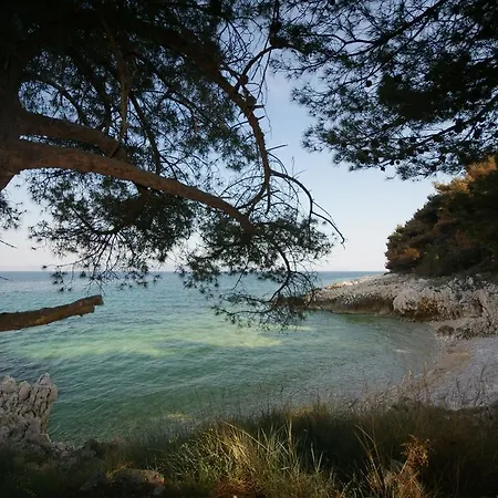 Corry 1 Apartmán Ravni